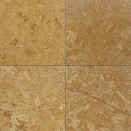 Flowery Gold Sandstone