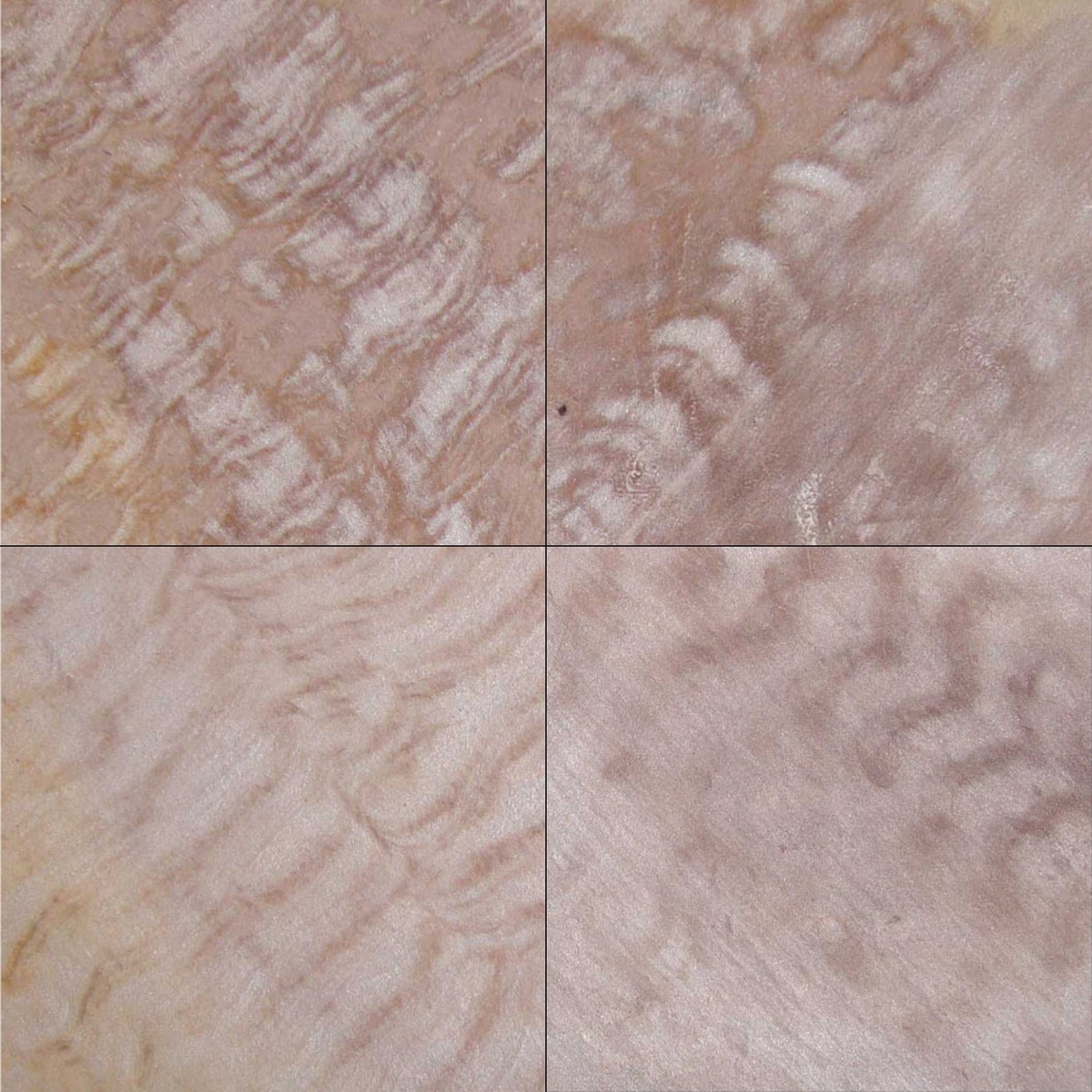 Stonebax- Indian Panther Sandstone Indian Panther Sandstone